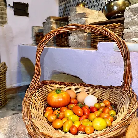 Tenuta Reganati Piedimonte Etneo