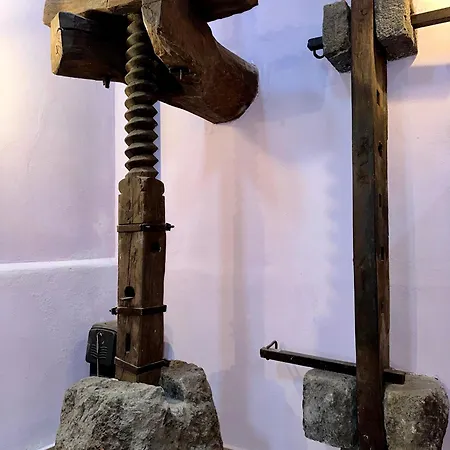 Tenuta Reganati * 皮耶迪蒙泰埃特内奥